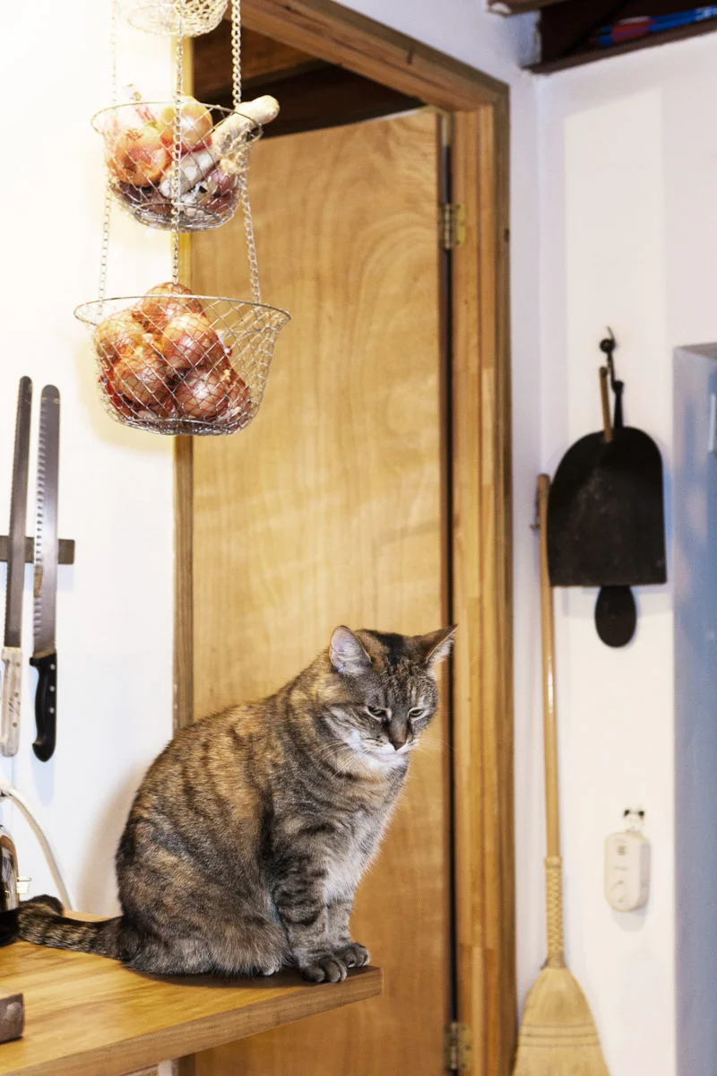 ELLE_deco_Hye-Ryoung_Min_007.jpg
