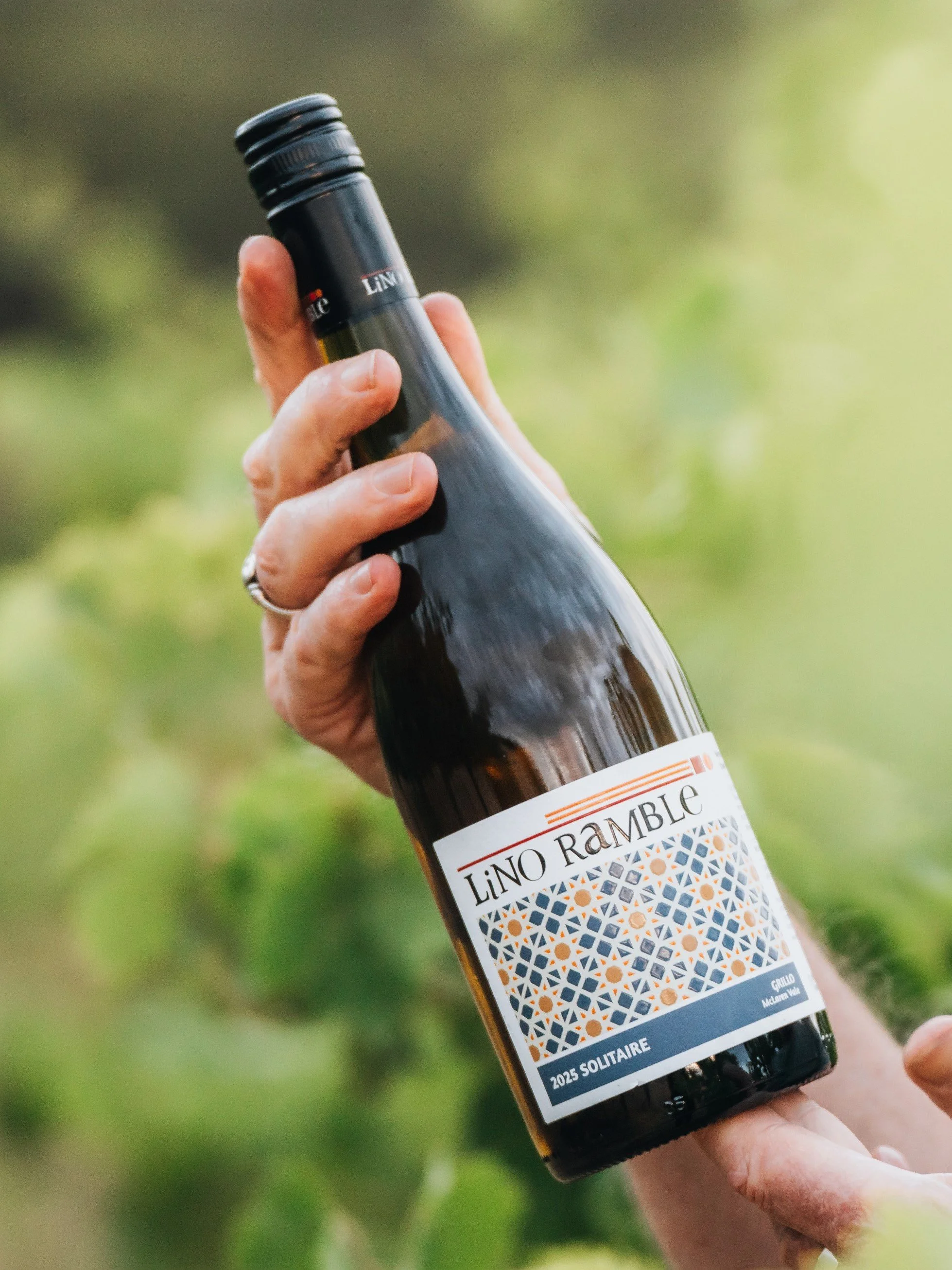 grillo half again.jpg