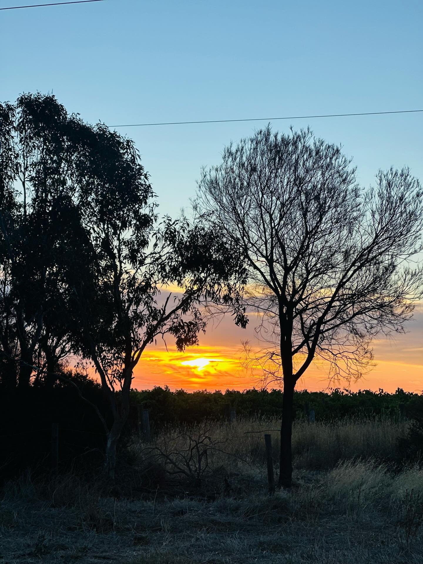 On behalf of the entire Lino Ramble team I would like to wish everyone a Merry Christmas 

Tis the season for friends, family, good times and maybe a little indulgence 😉🥂

Stay safe and we look forward to seeing you all again soon 

Cellar Door wil