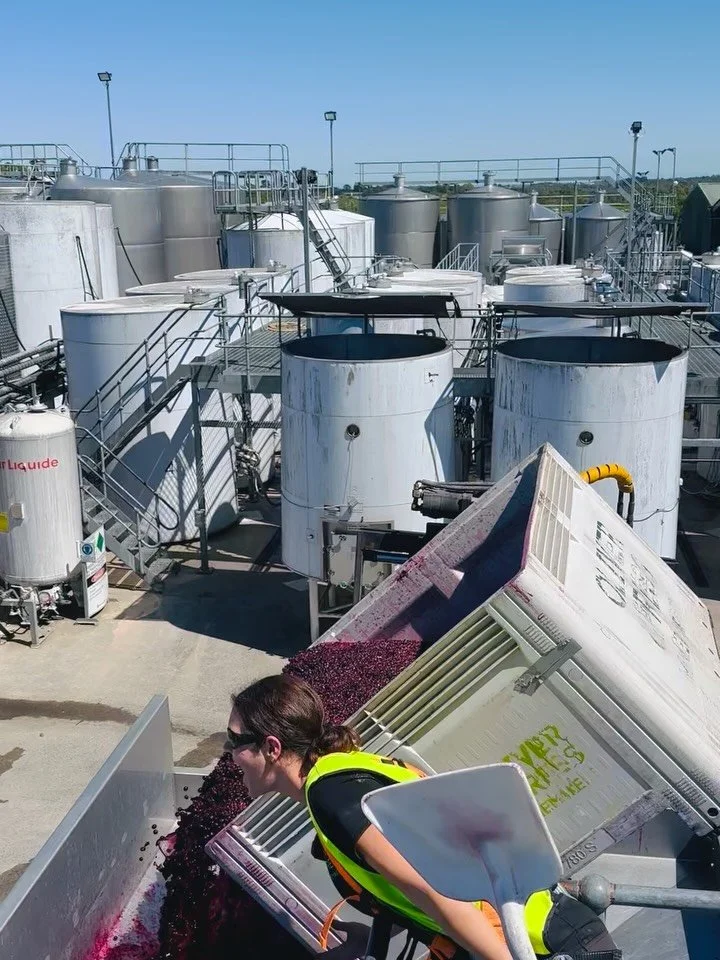 Vintage 2026 vibes are high today thanks to @claudiaboot1 @oliverandpresswinemakers 
Mencia in the press and looking the goodies already 
#dayforit #vintagevibes #redwineweather #mclarenvale #southaustralia 
🤩❤️🎉🍷