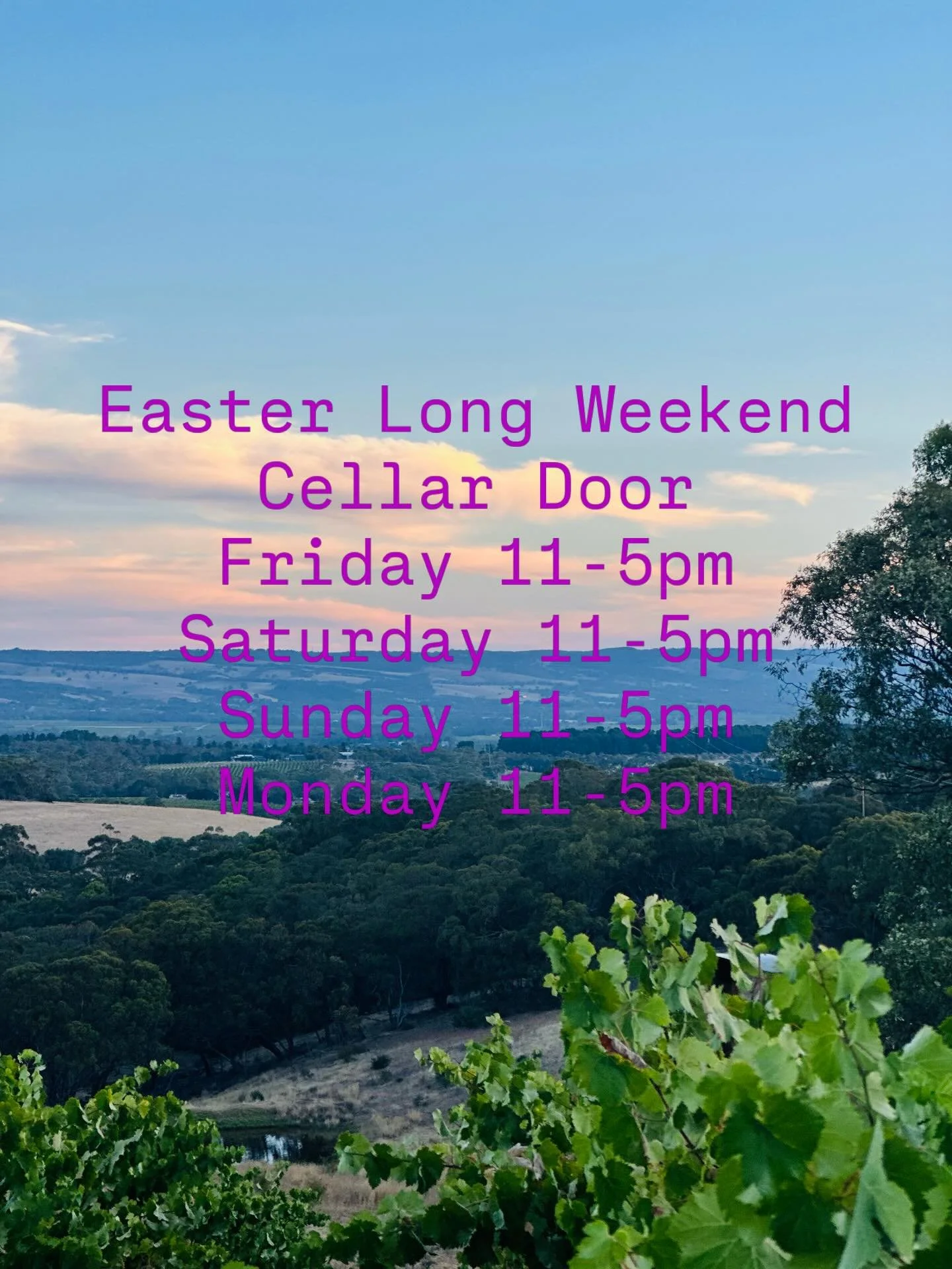 2025 Earnest Montepulciano has just been released 
Only a handful of bottles left of Gamay left, get some before it&rsquo;s gone 
Plus an old favourite from the cellar 2017 Knuckle Bones Nebbiolo 
Lots to look forward to all Easter long weekend!
