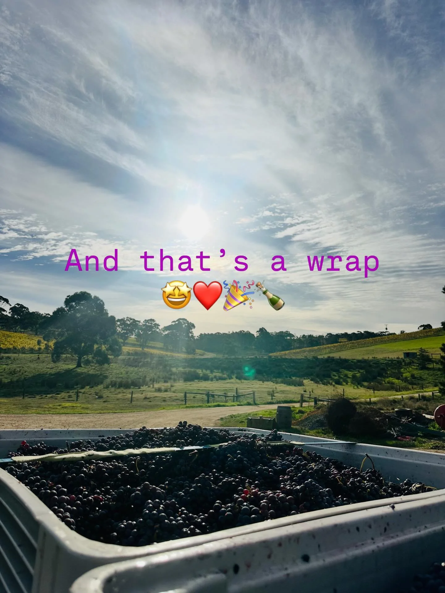 And that is a wrap &hellip; finally 🎉
In stark contrast to Vintage 2025 which started early, fierce &amp; was all wrapped up after 5 weeks during the second week of March, we concluded 2026 today a fraction shy of 11 weeks after commencing 🤪
Beauti