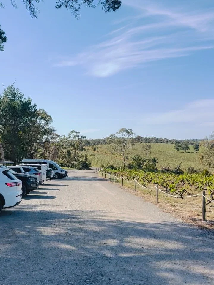 Sneak peak of our amazing friends at Larnook Wines brand spanking new Cellar Door
Officially open this Thursday the 1st of October 11-5pm
Amazing wines and beautiful people 
Please check them out when you are next in McLaren Vale 
#mclarenvale #south
