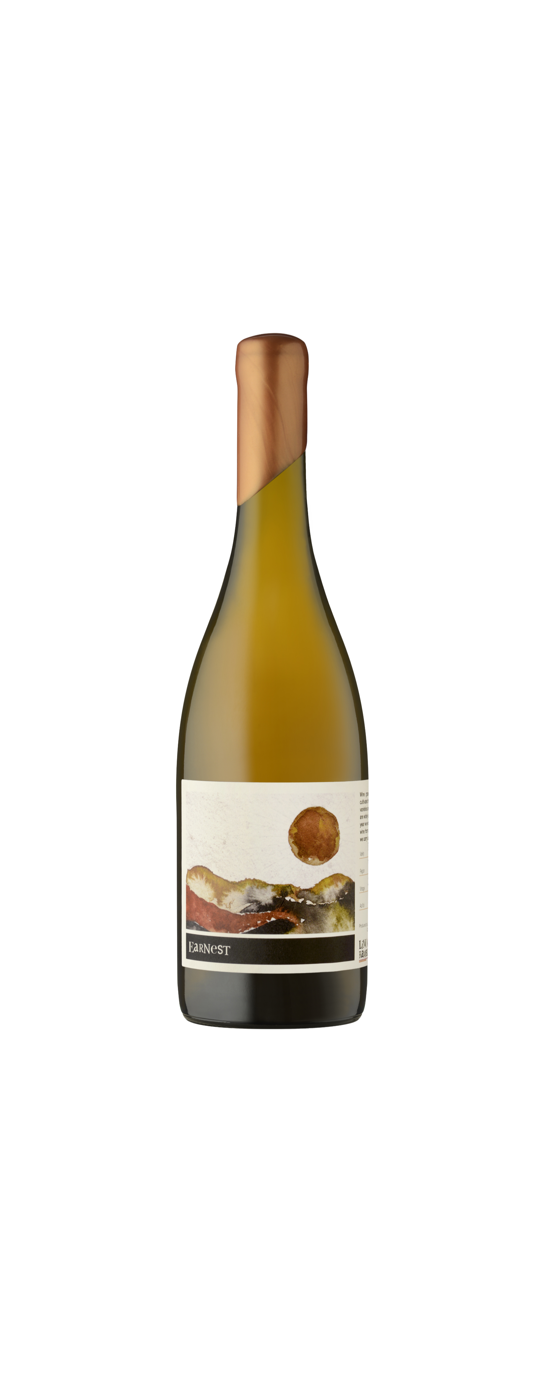 2025 Earnest Skin Contact Pinot Grigio