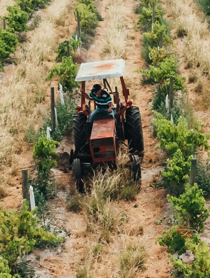 matt tractor Fal.jpg