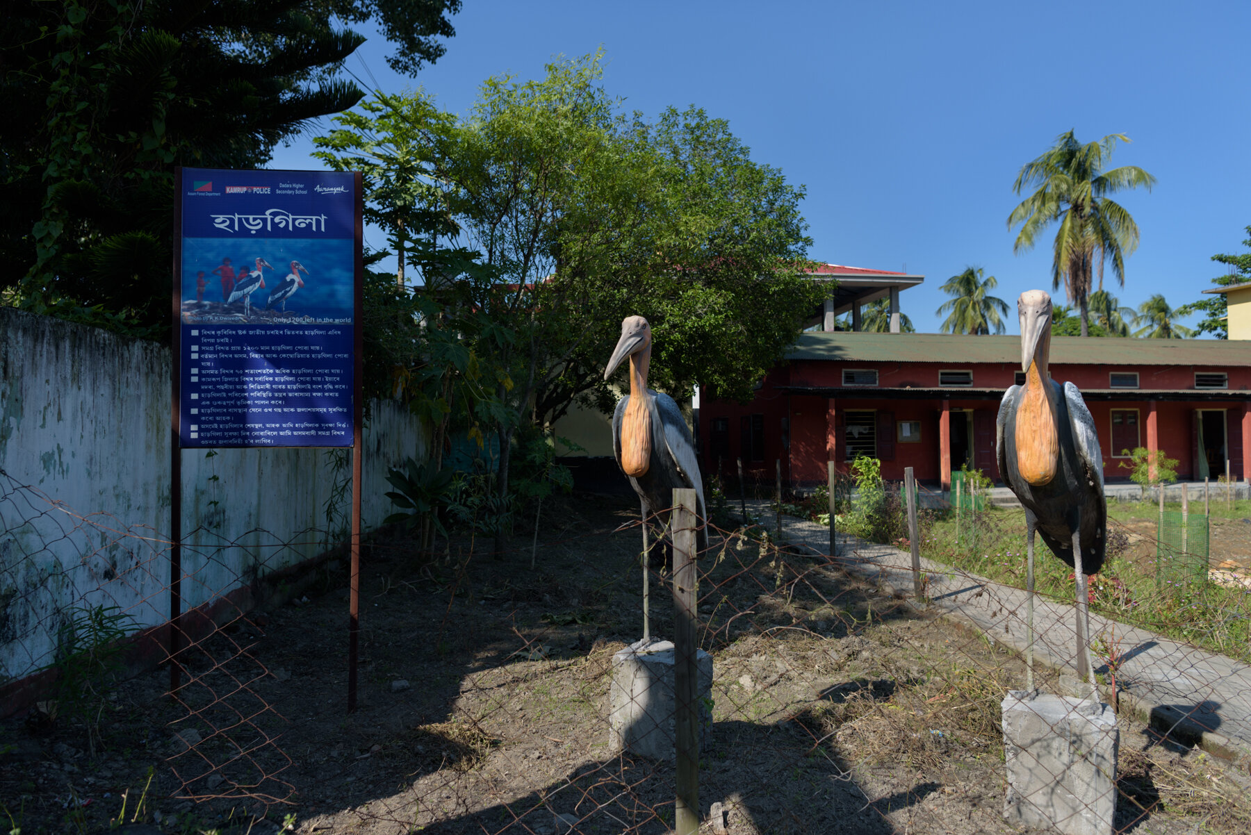  Life size statues of the Greater Adjutant Stork have been installed by biologist Purnima Burman, leader of the Hargila Army at the Dadara High School to raise awareness about the importance of the scavenger birds in their community. Dadara village i