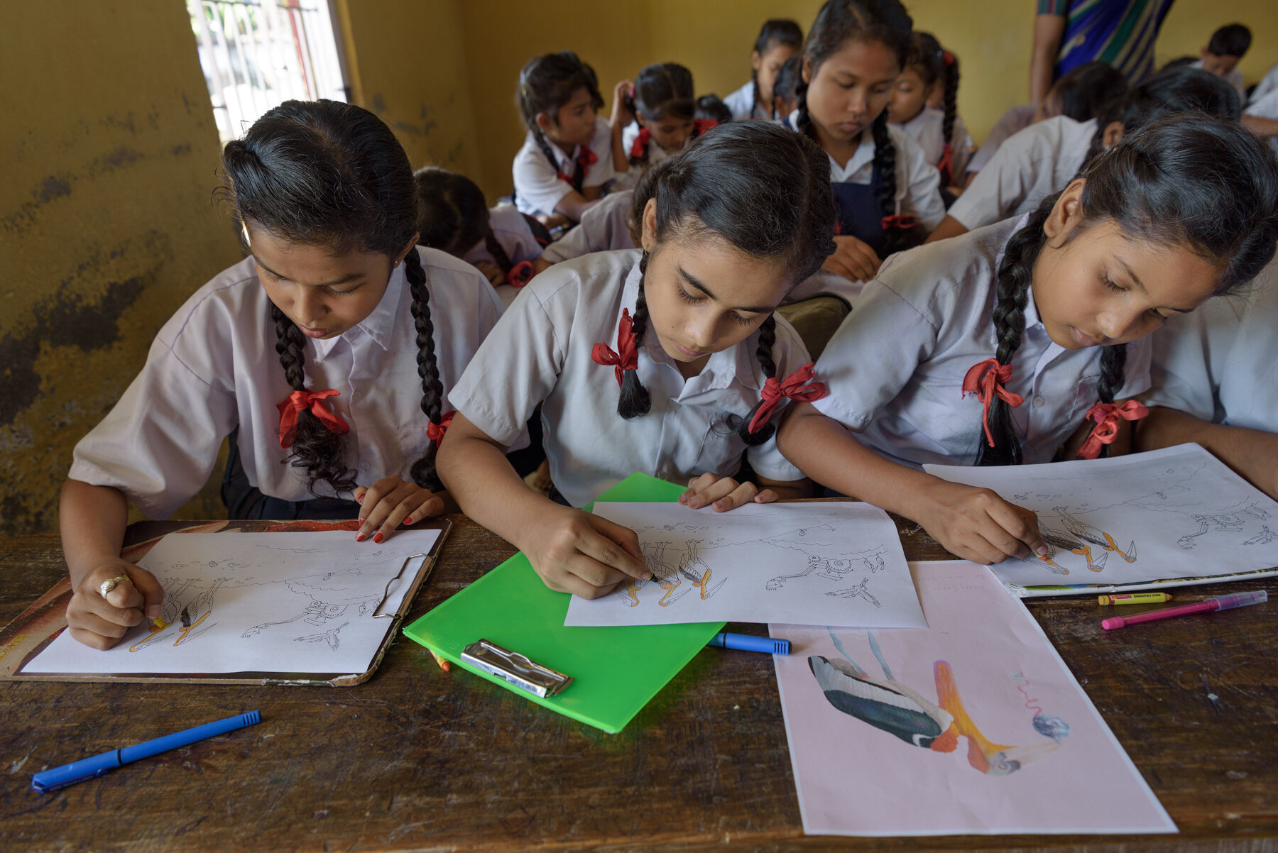  Students of Dadara High School make drawings of Greater Adjudant Storks as part of the awareness campaign led by Purnima Barman. Dadara village is an important nesting location for these storks. 