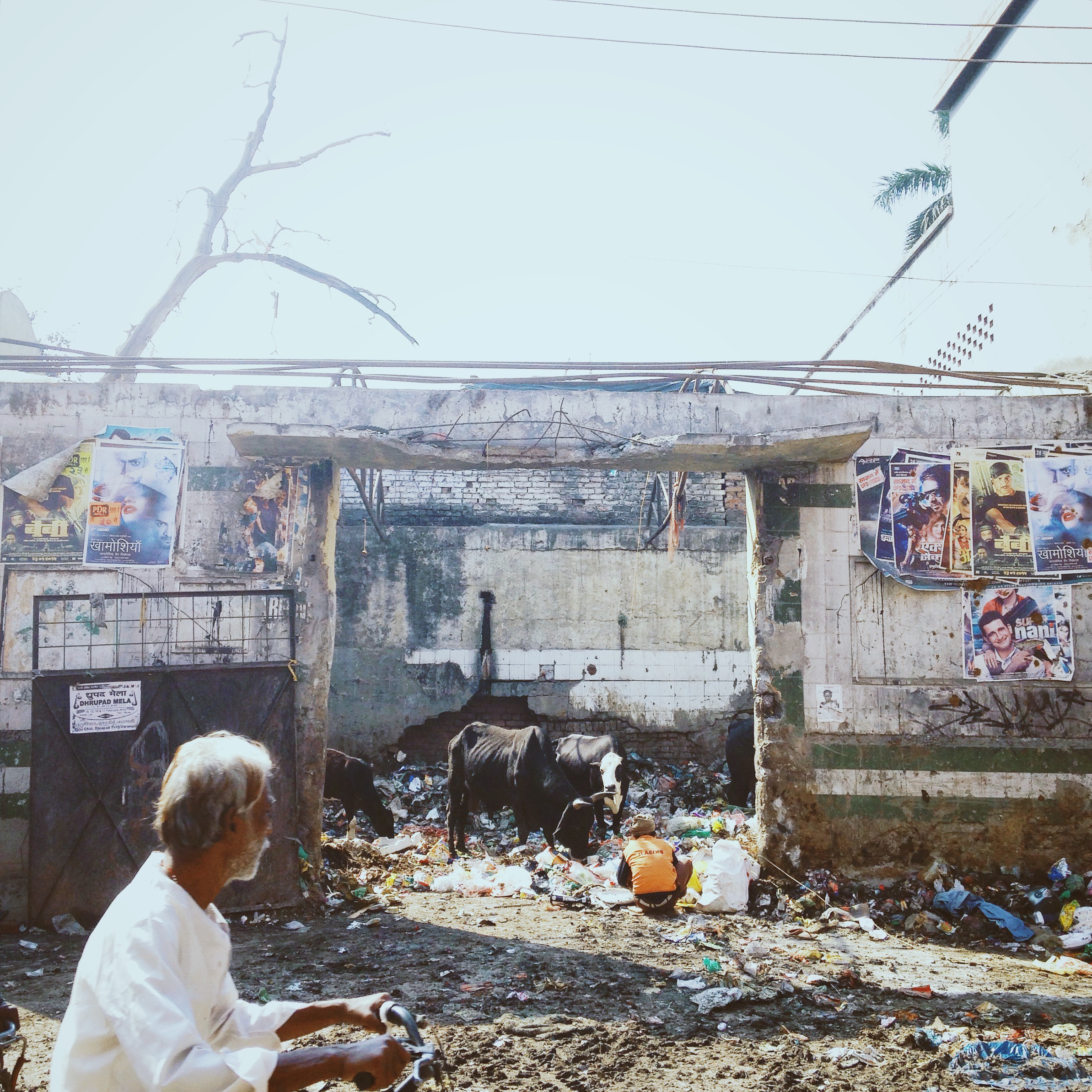  varanasi, february 2015.&nbsp;  all images shot on iphone. 