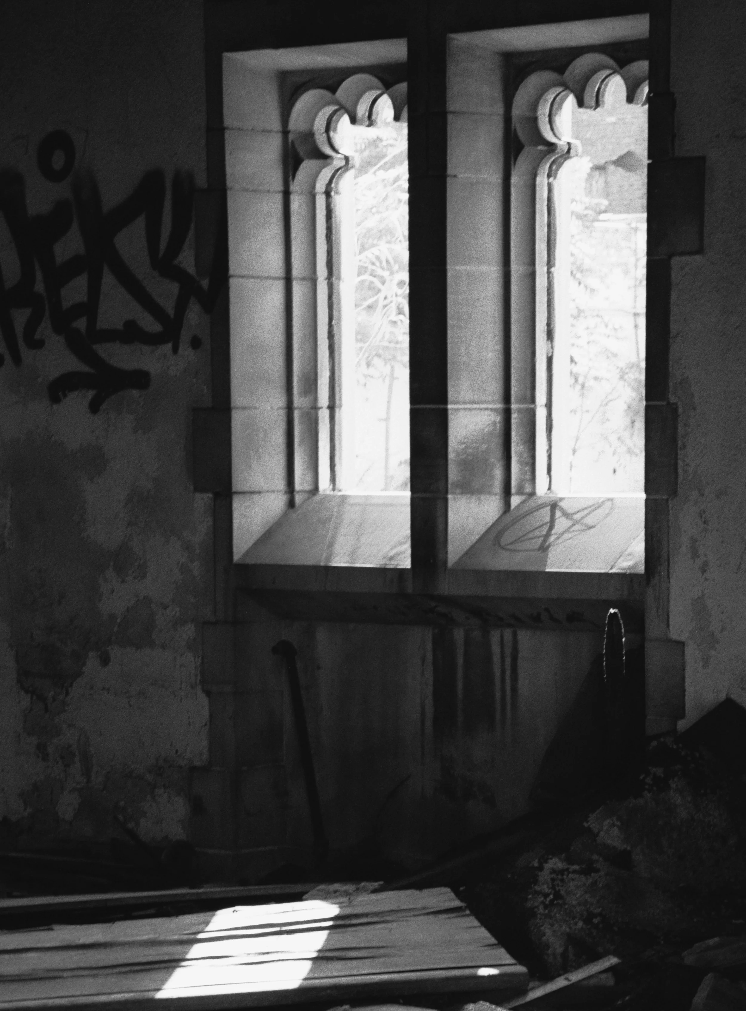 Ray of Light-Lisa Walsh.jpg