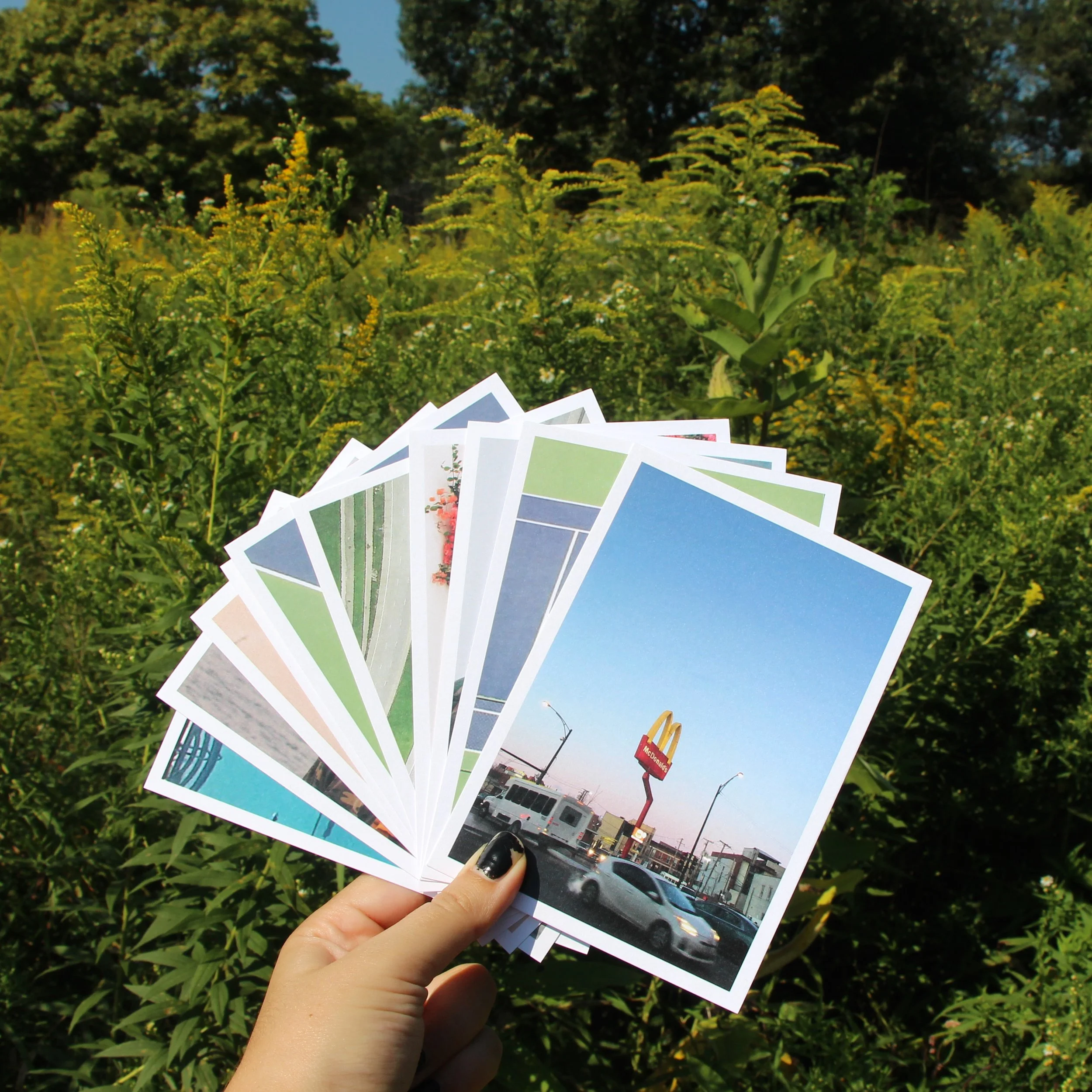 Set of Postcards by Melissa Fandos