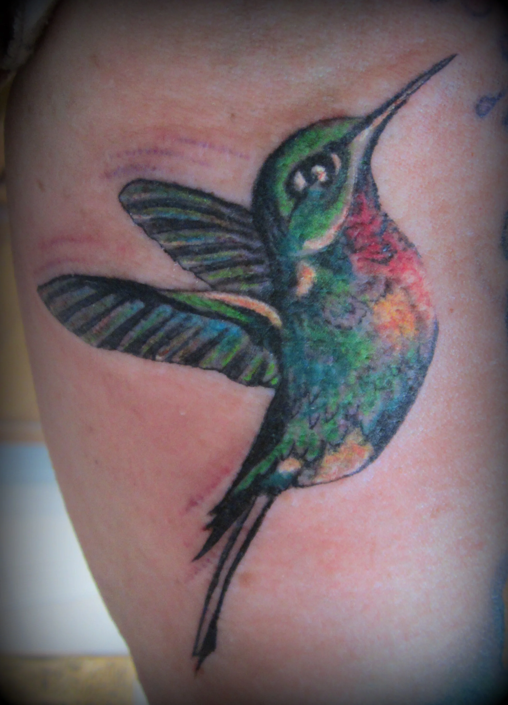 Hummingbird.jpg