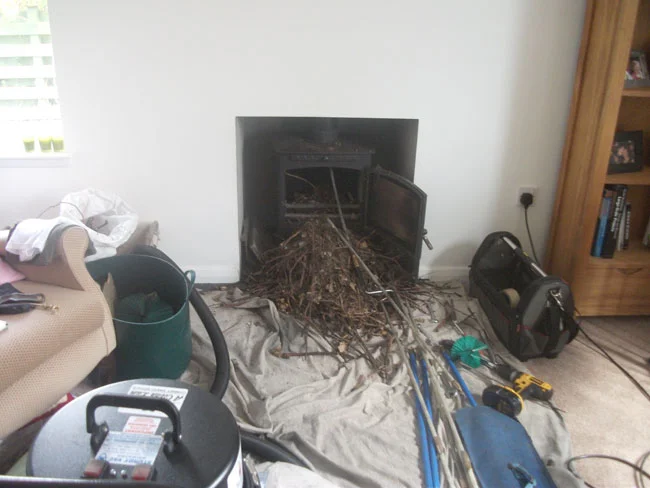 A bird nest blockage.