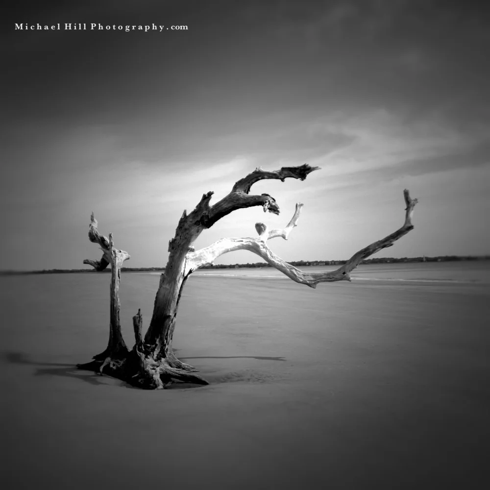 Nokia Driftwood 1.jpg