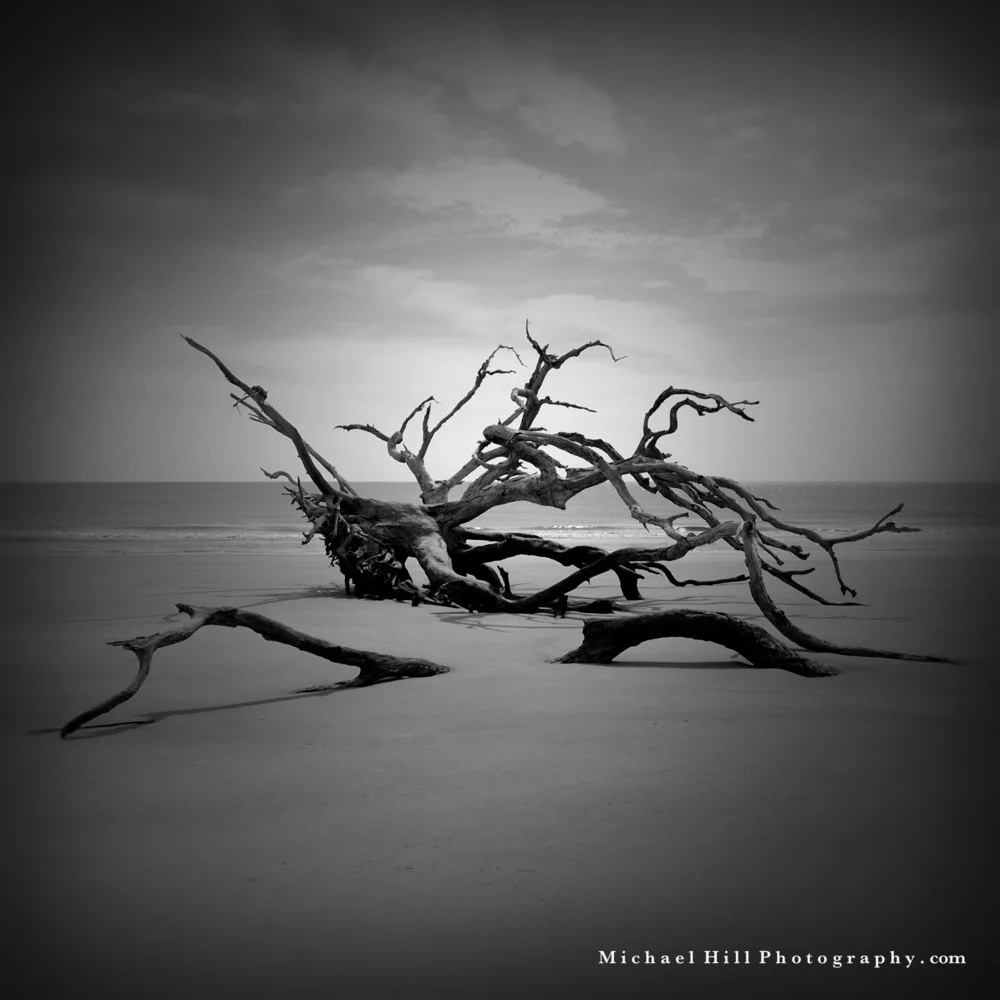 Nokia Driftwood 5.jpg