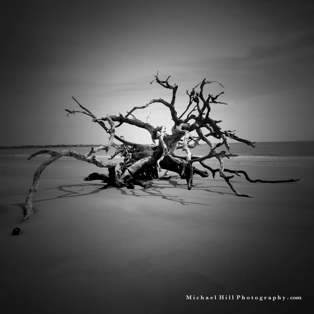 Nokia Driftwood 6.jpg
