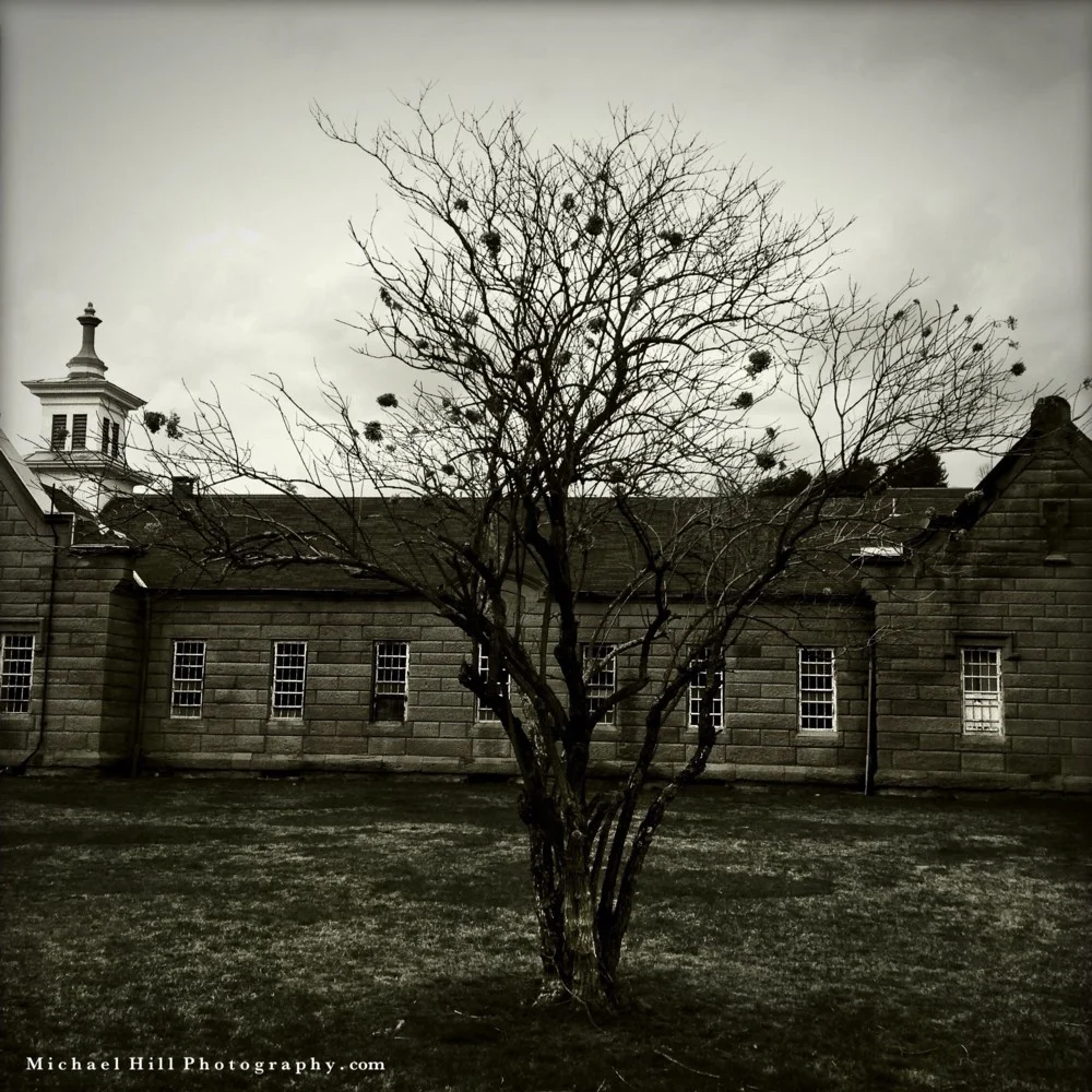 Trans-Allegheny Lunatic Asylum 5.jpg