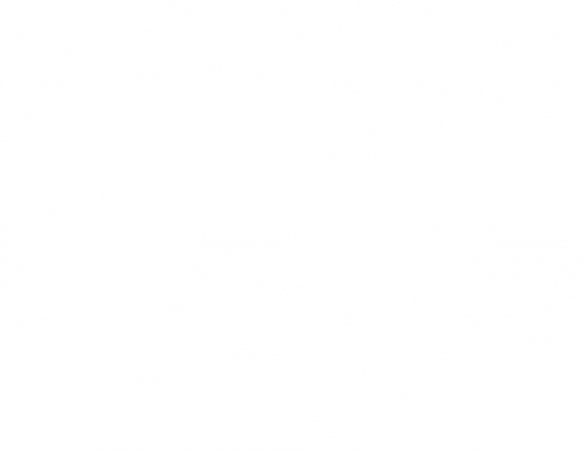 NICHOLS CREATIVE 3.gif