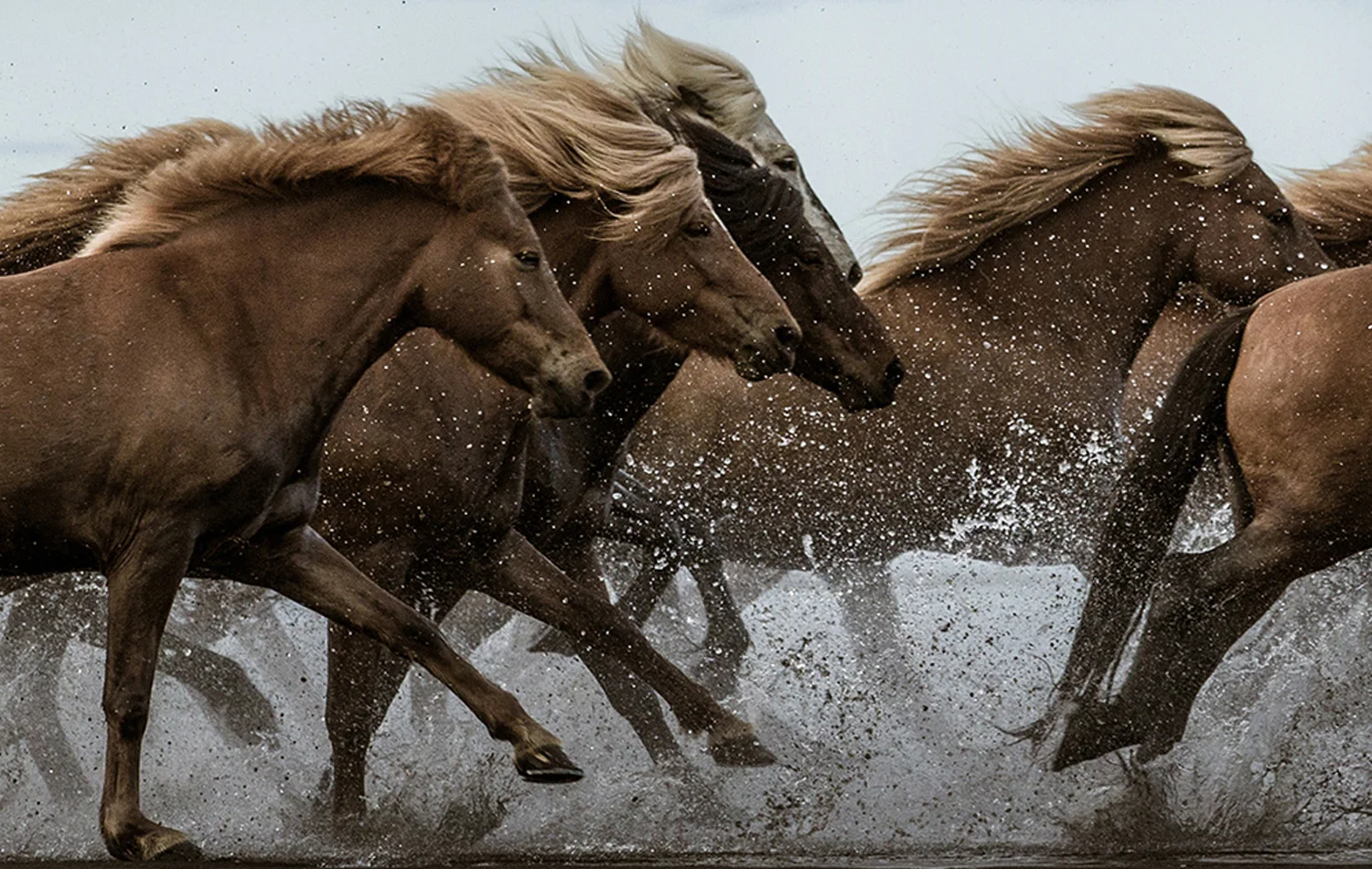 River Run