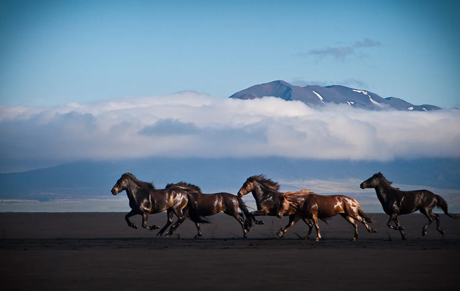 Black Sand Crossing