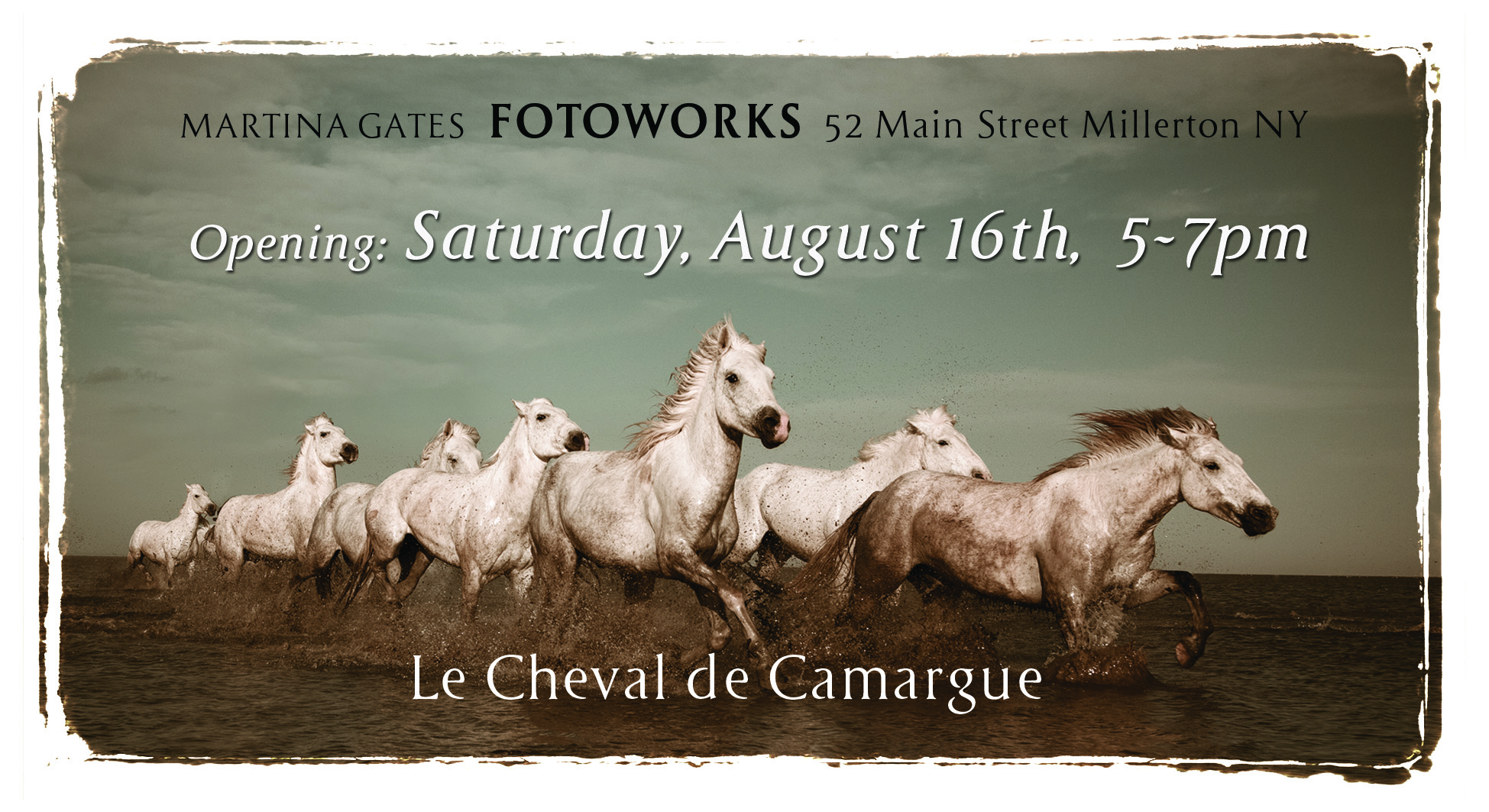 The first show is a collection of images of the horses of the Camargue. All images are printed as a limited edition of 5 and are hand signed and numbered. Each image comes with a certificate of authenticity.
