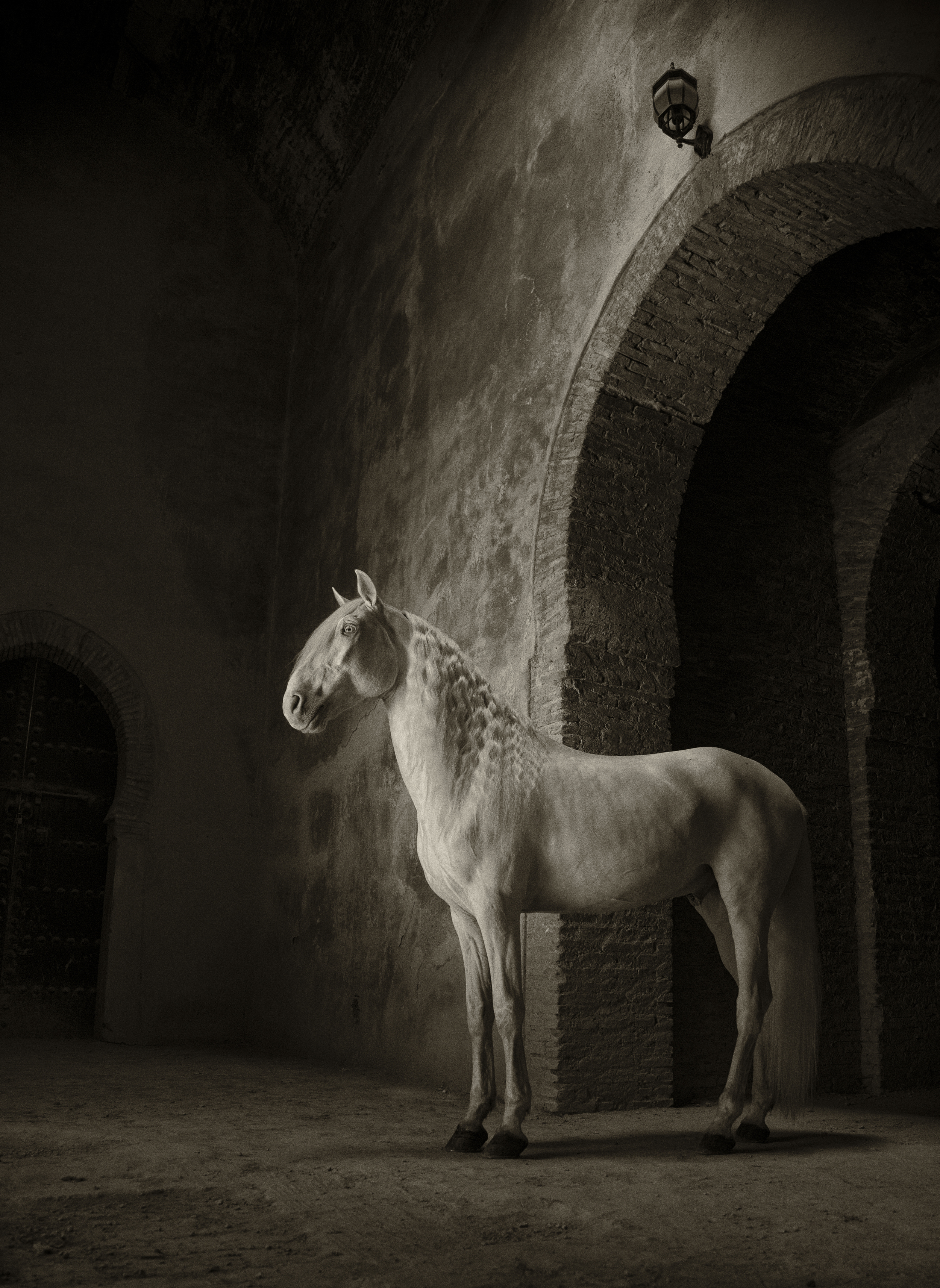 Chenel in the ancient royal stables, Morocco