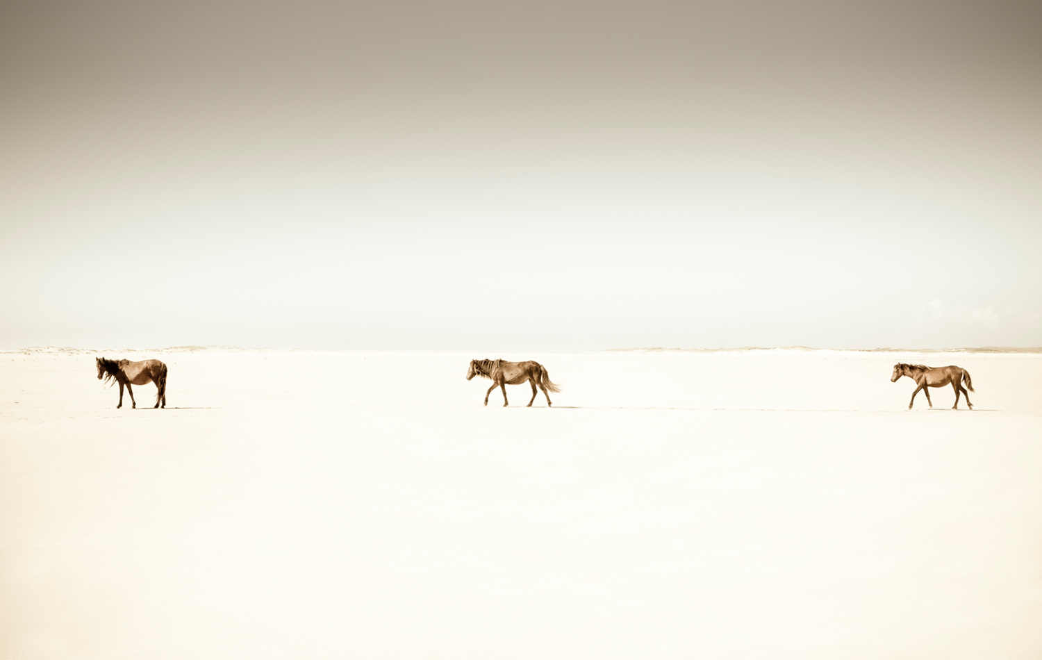 Sable Island, Canada