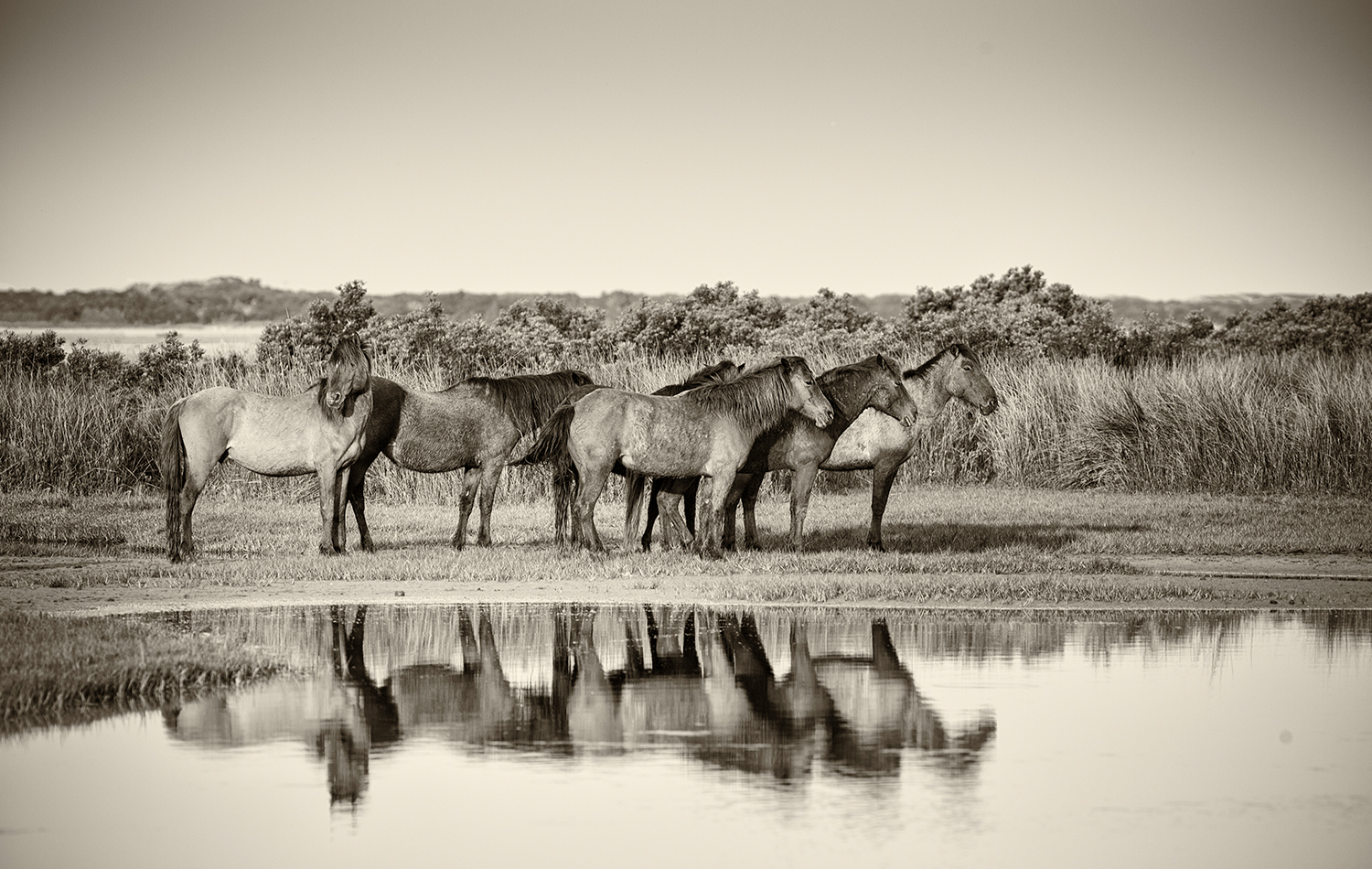 Shackleford Islands, NC