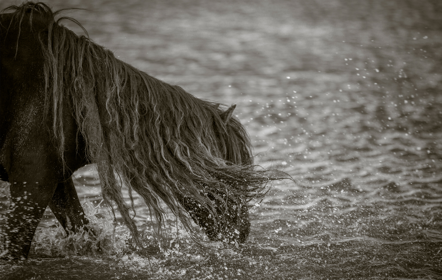 Sable Island, Canada