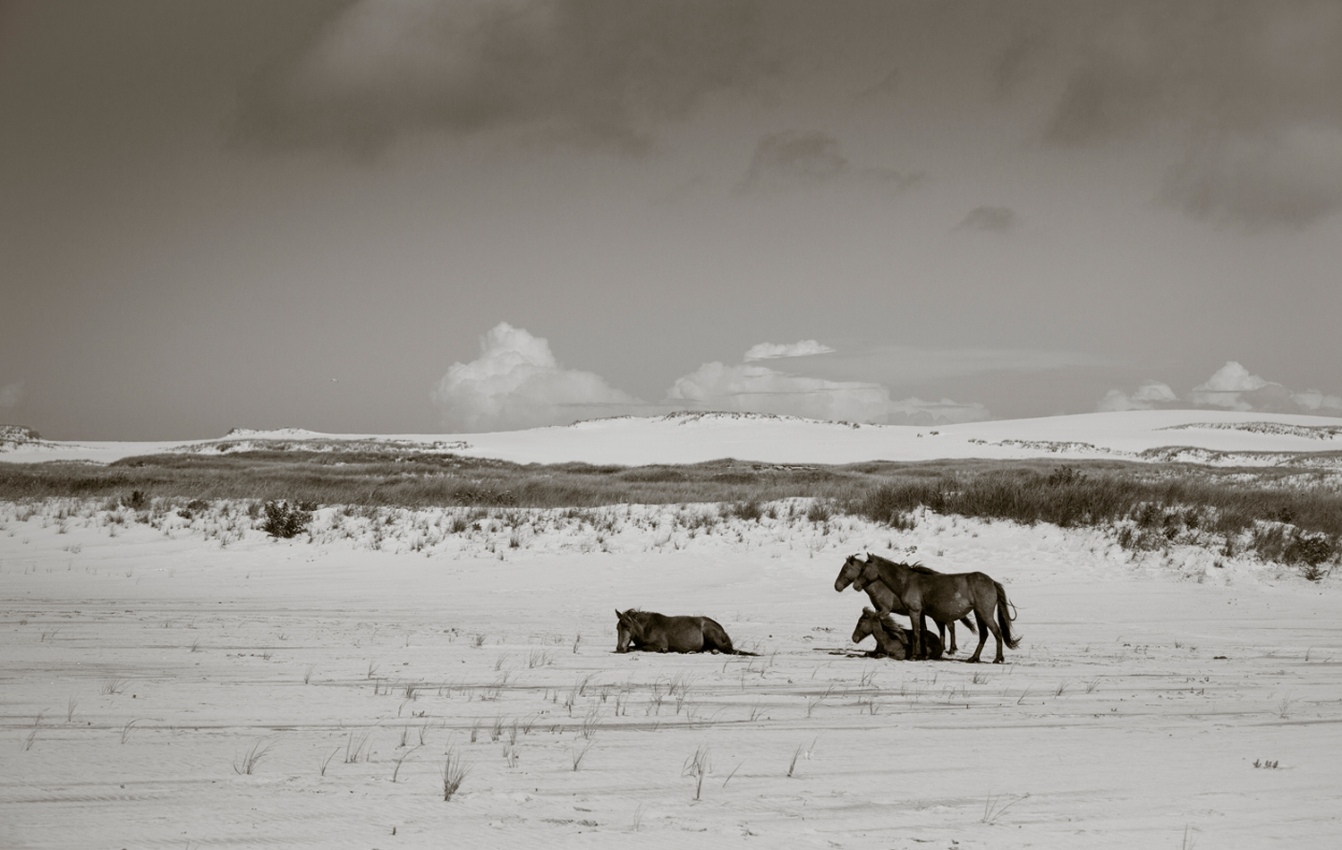 Sable Island, Canada