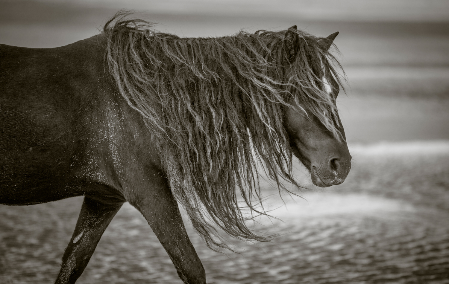 Sable Island, Canada