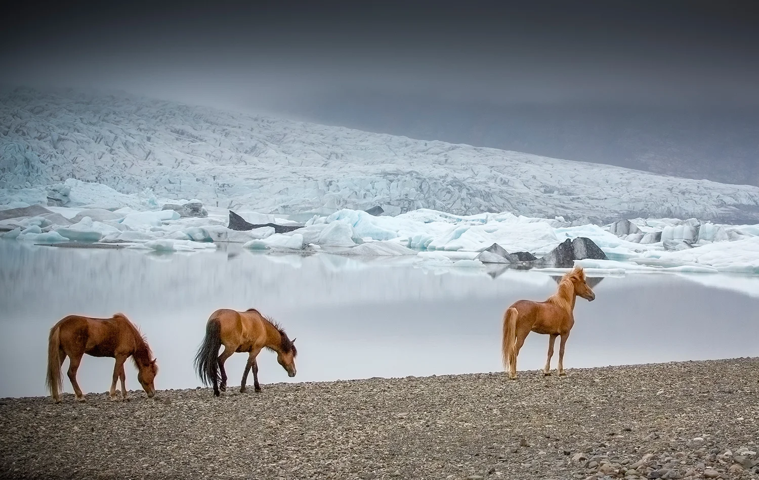 pureicelandic-42.jpg