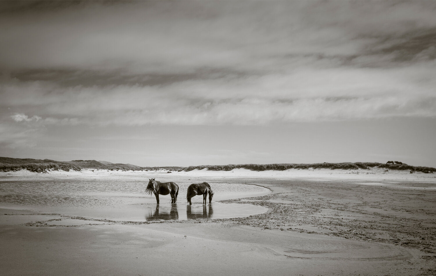 SABLE ISLAND