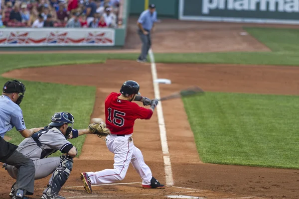 Dustin Pedroia