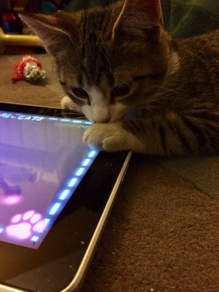 iphone-20140225213655-0.jpg