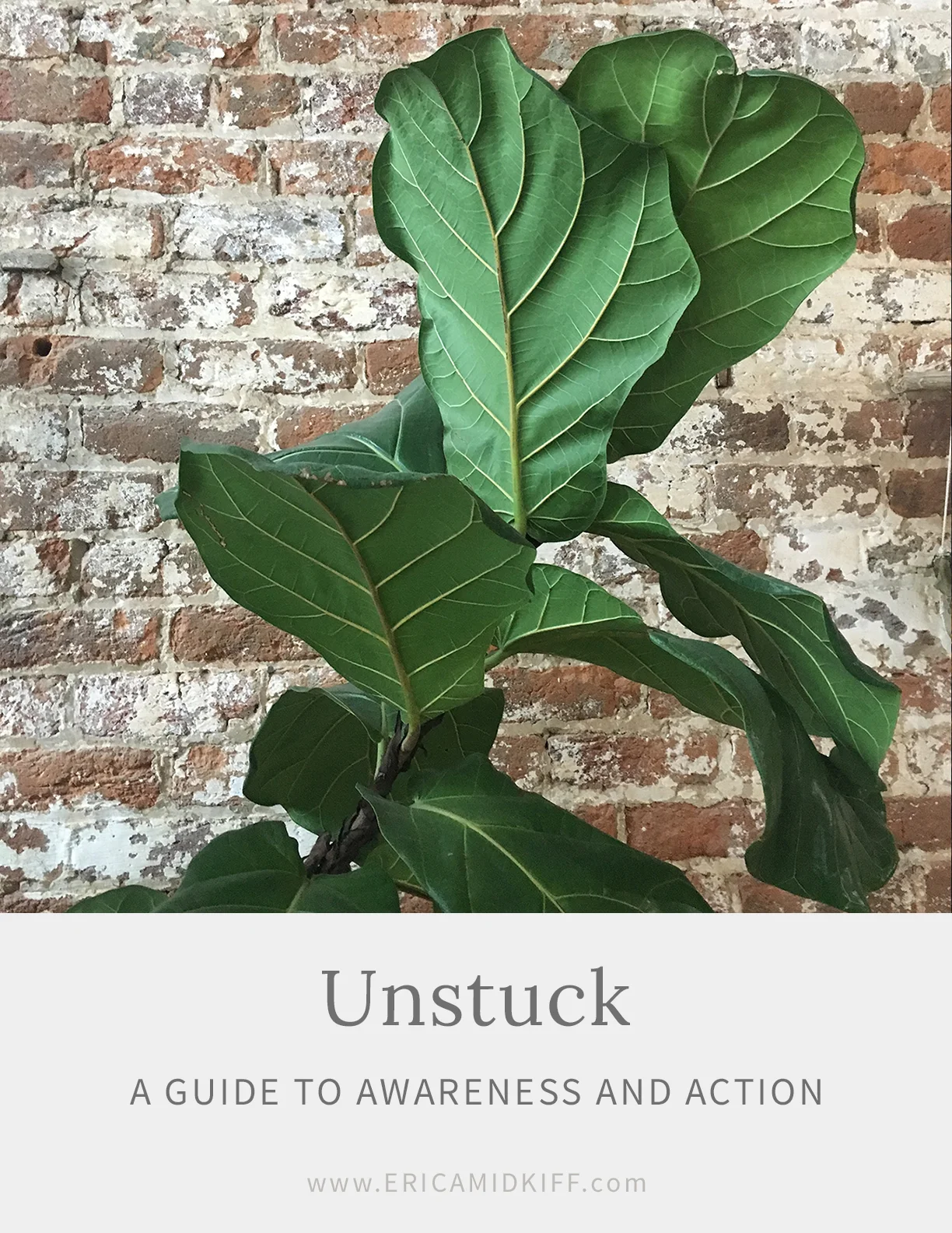 Stay Unstuck: A Guide to Awareness and Action