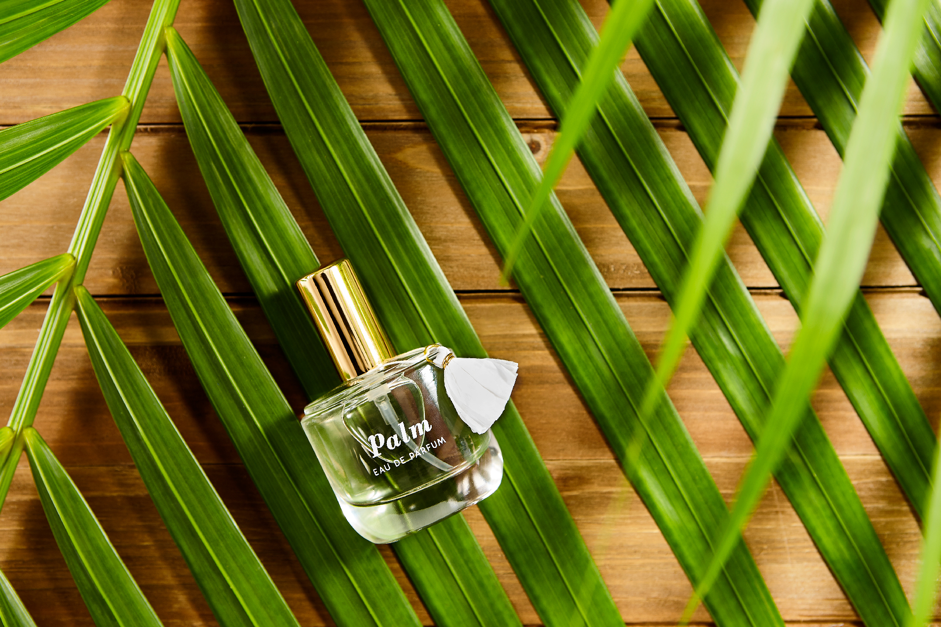 Prop Styling * Product Styling * Photography * Beauty * Perfume * Anthropologie * Palm Leaves * Stylist: Josephine Castellano JosCast.com Photographer: Amanda James Photo