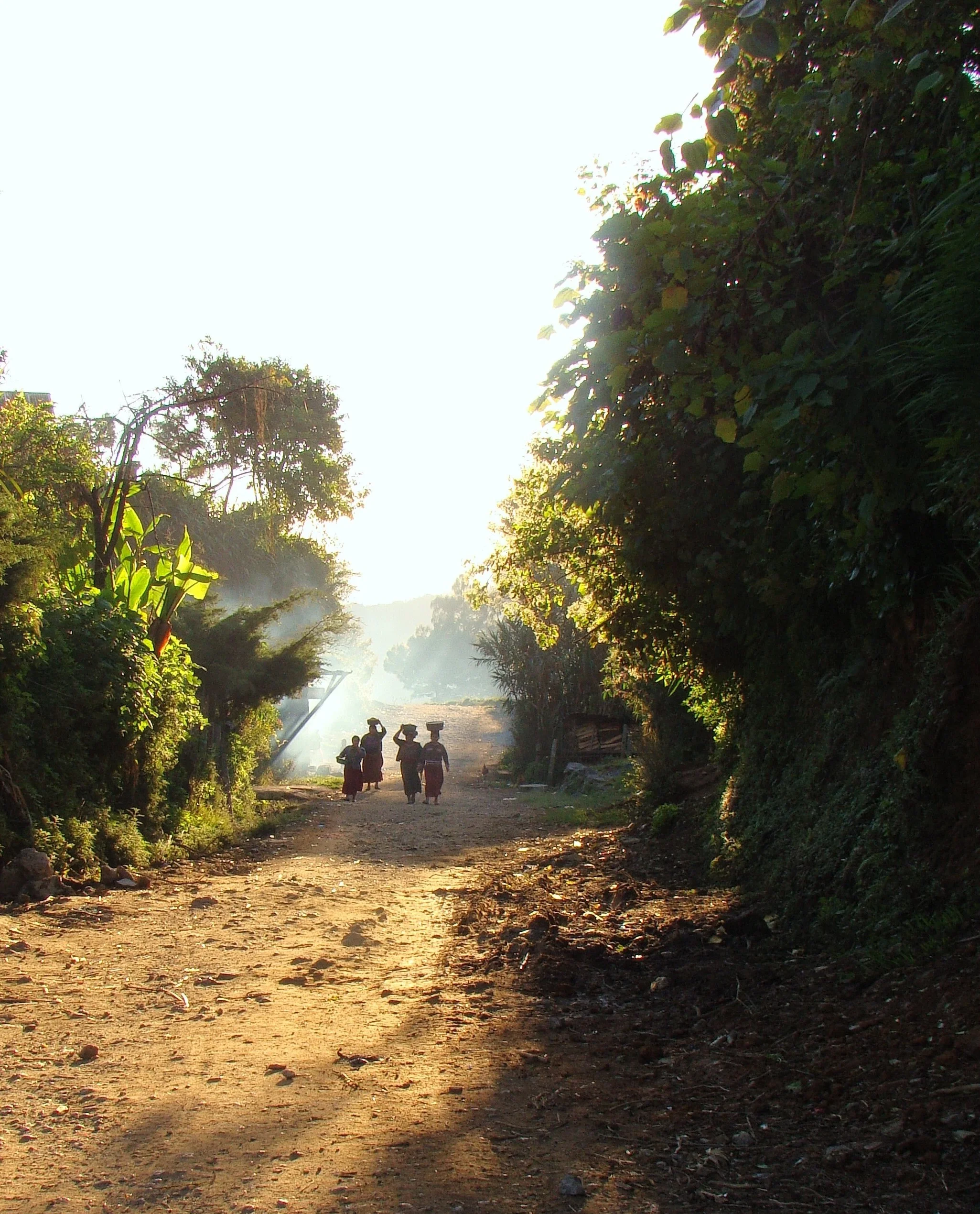 Morning Haze
