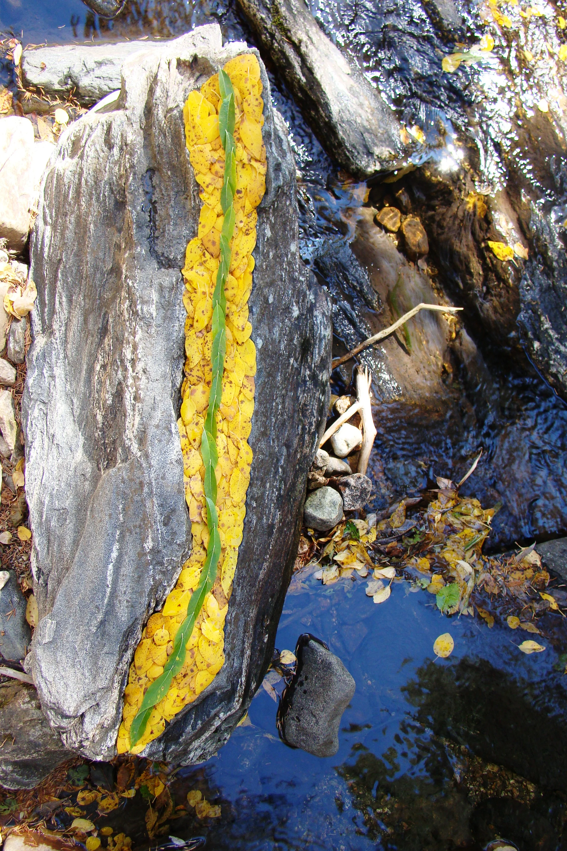 Leaf Line