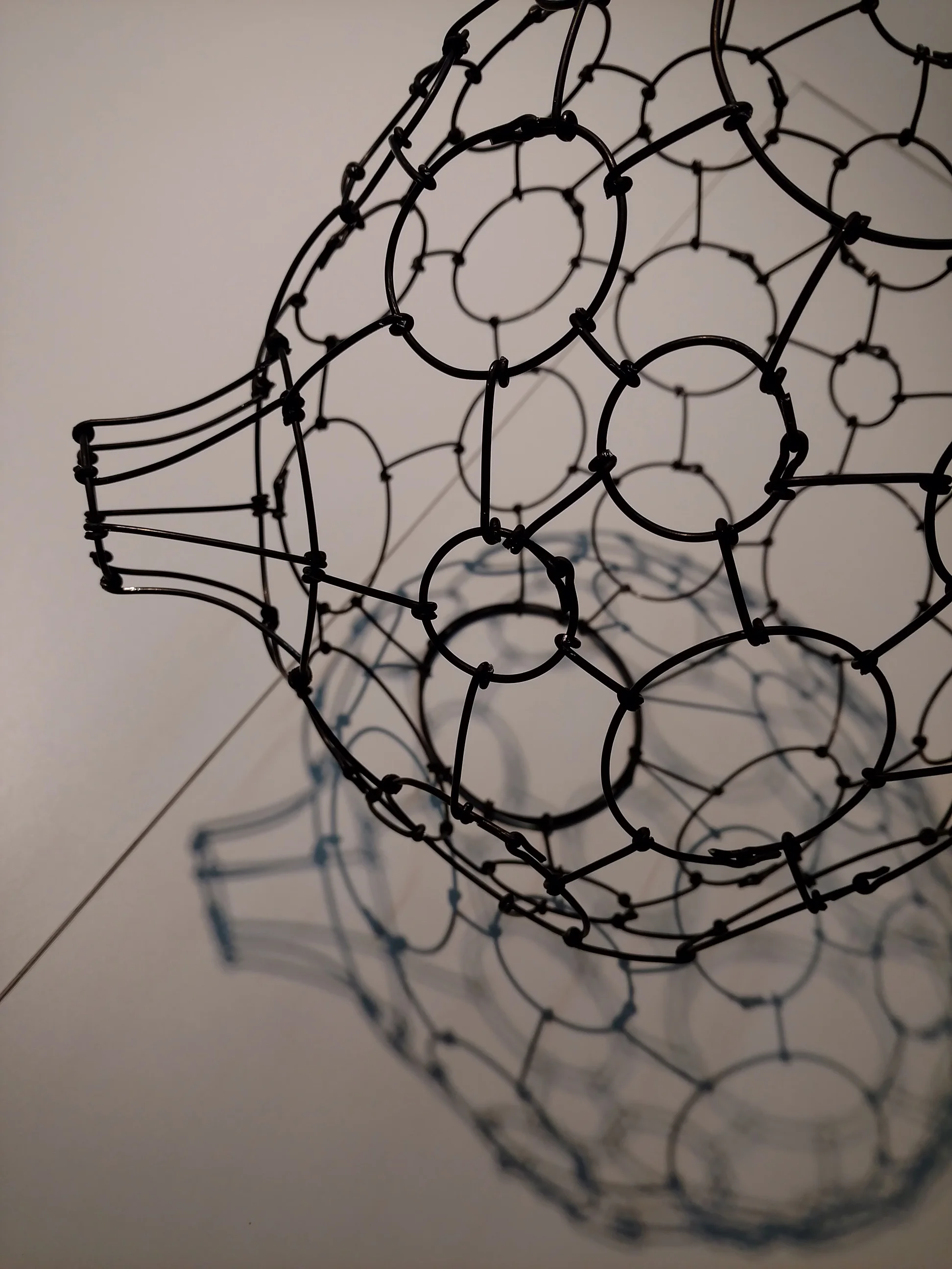 Wire Form