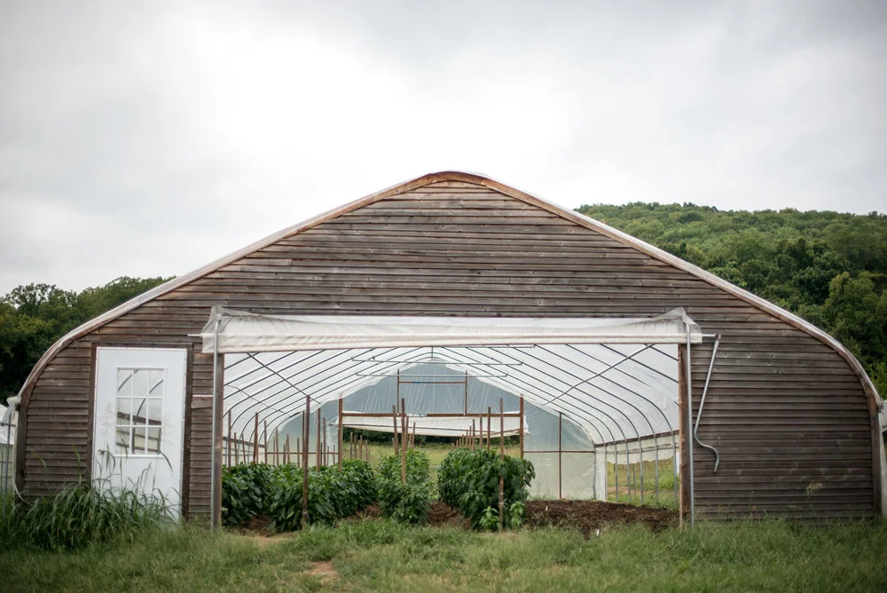 Bloomsbury Farm CSA Party