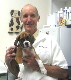Dr. Netschert with a patient
