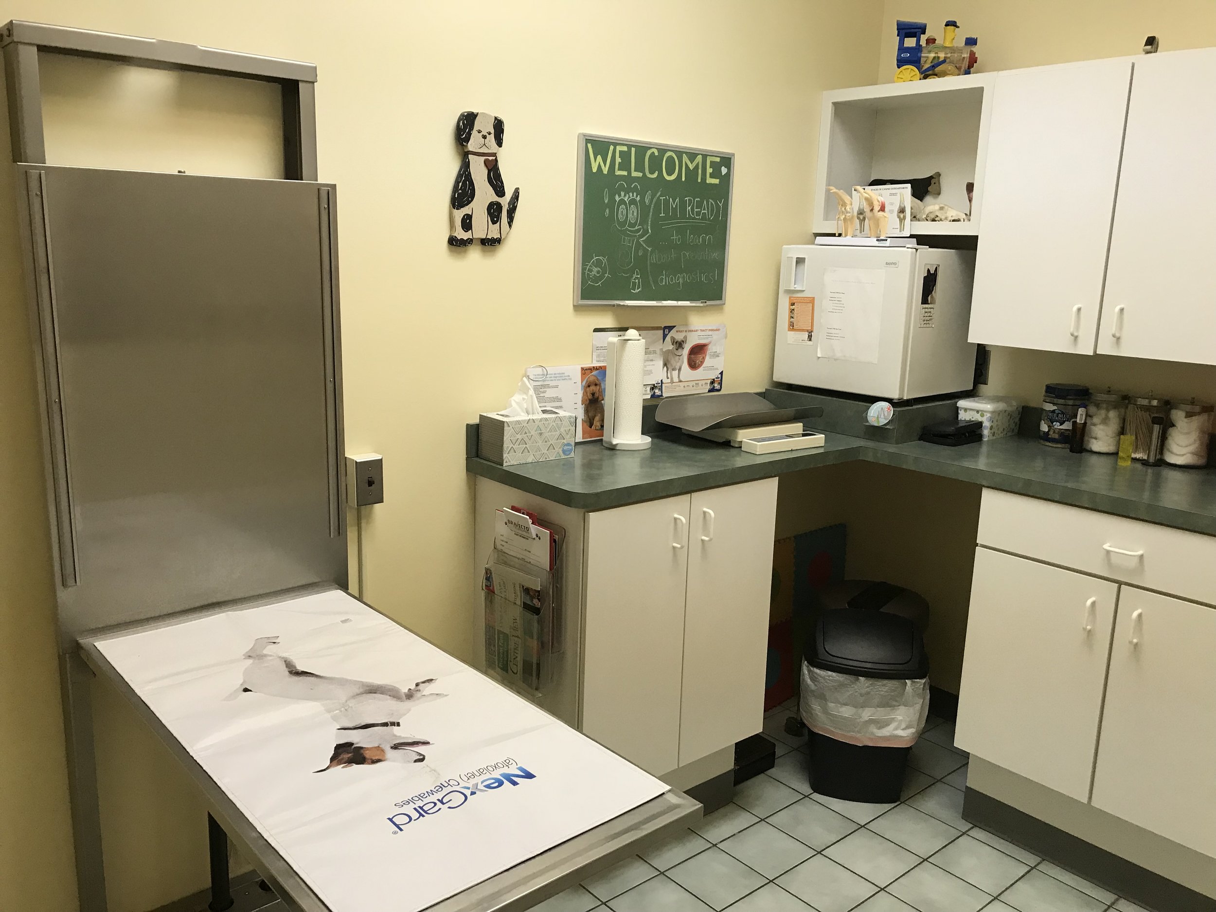 Large Animal Exam Room