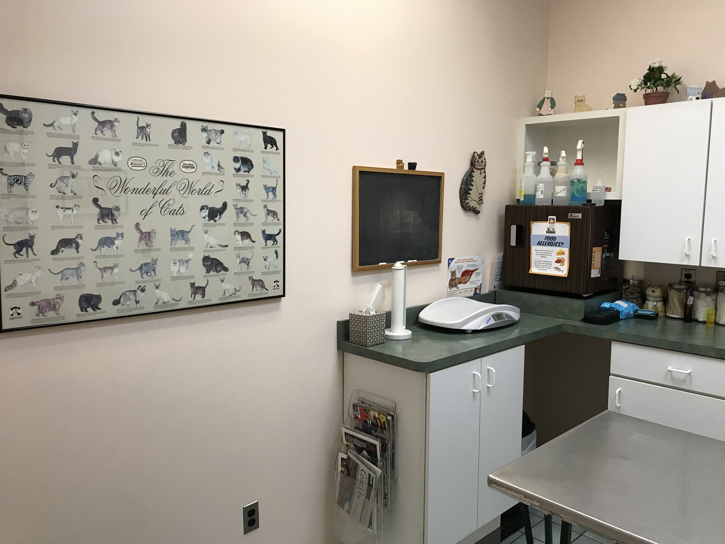 Cat Exam Room