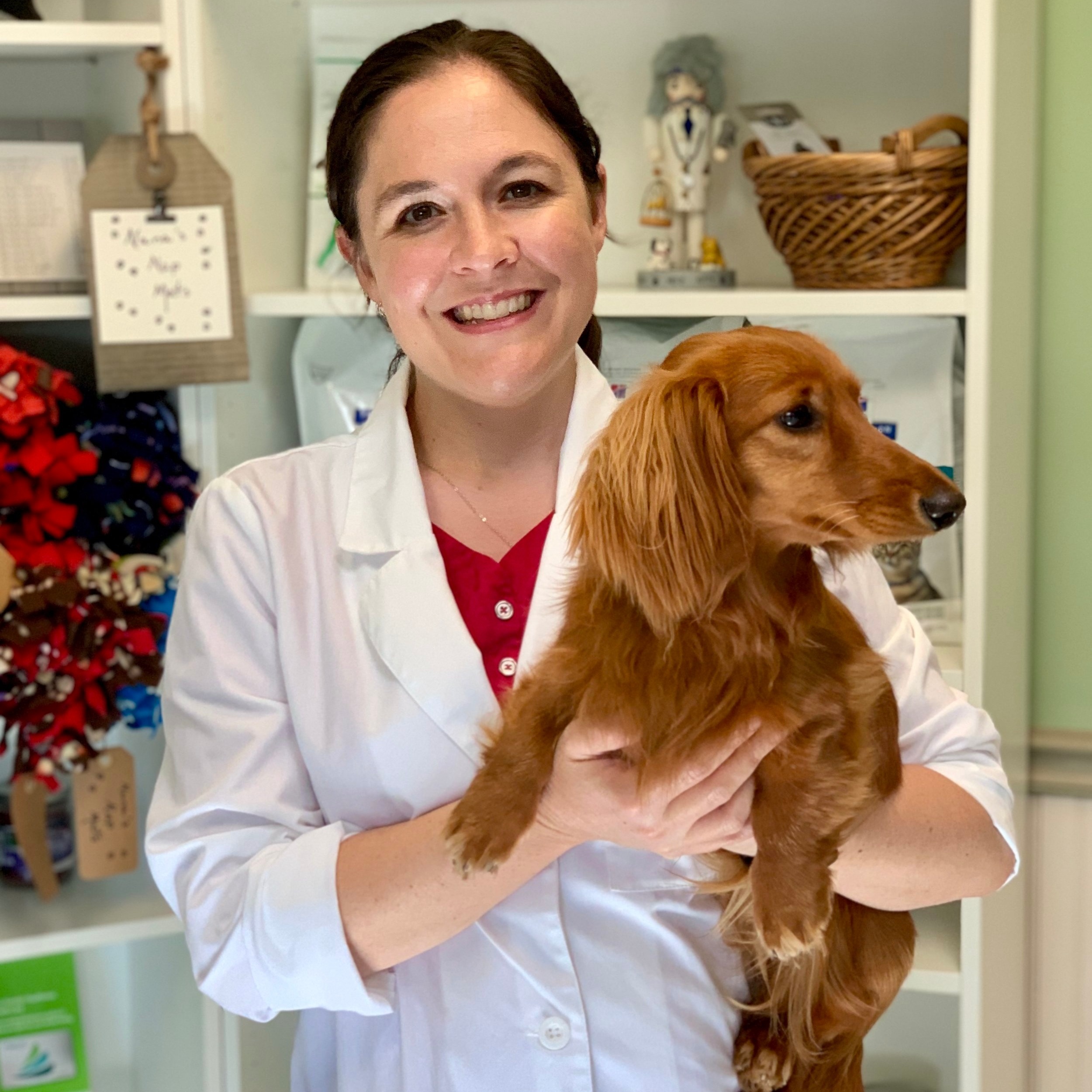 dr pet clinic