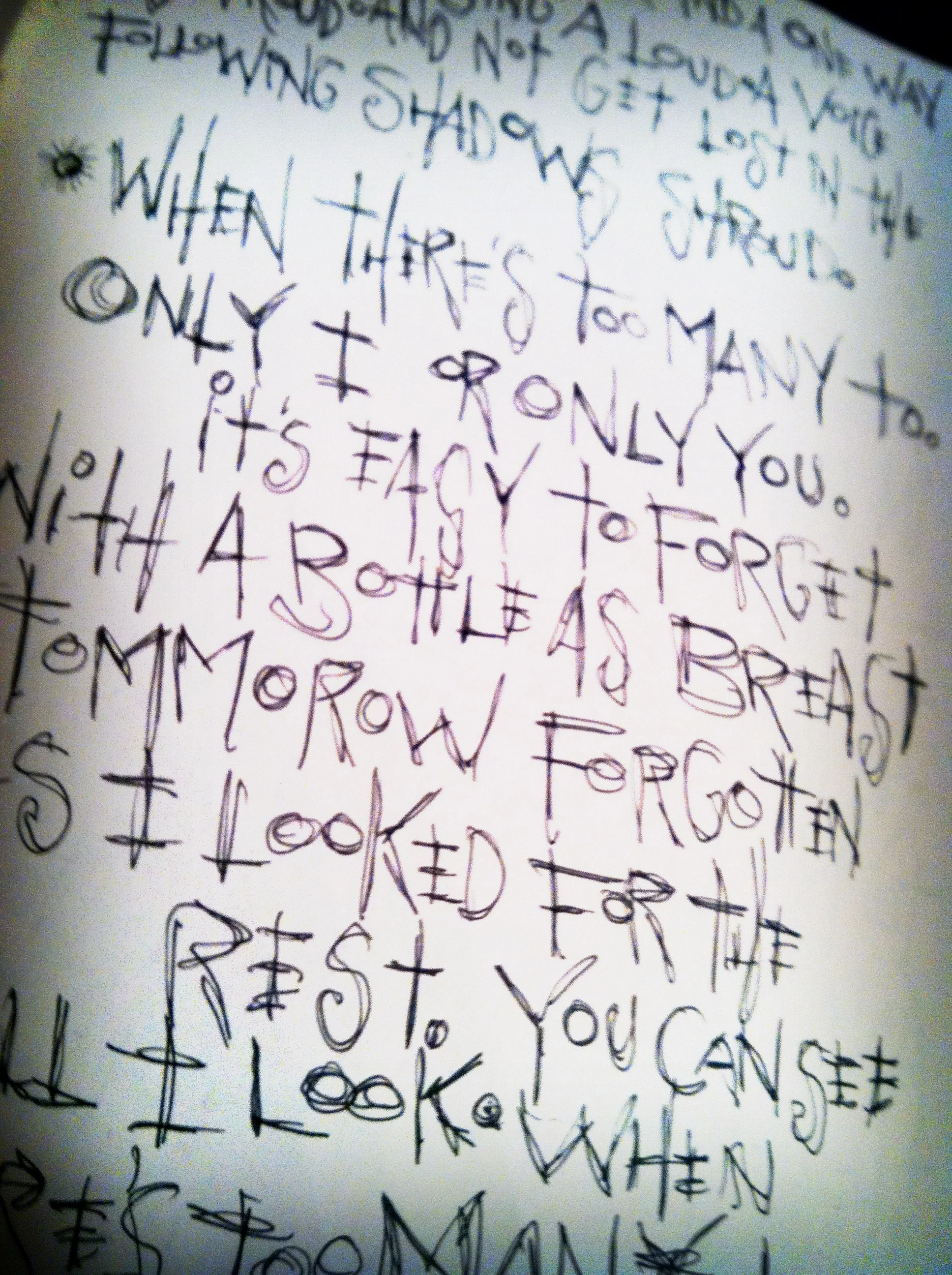 Too Loud a Voice (after Hrabal)