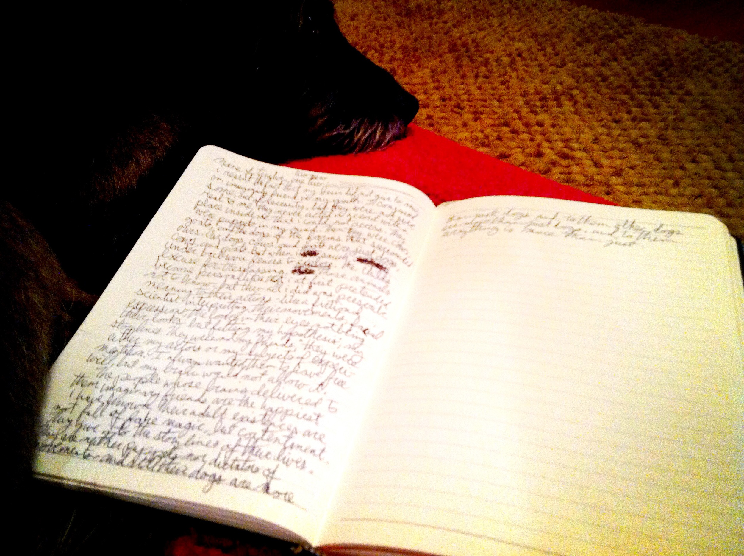 aside my favorite companion who never bothers to question where we are headed, it all being the same to him.