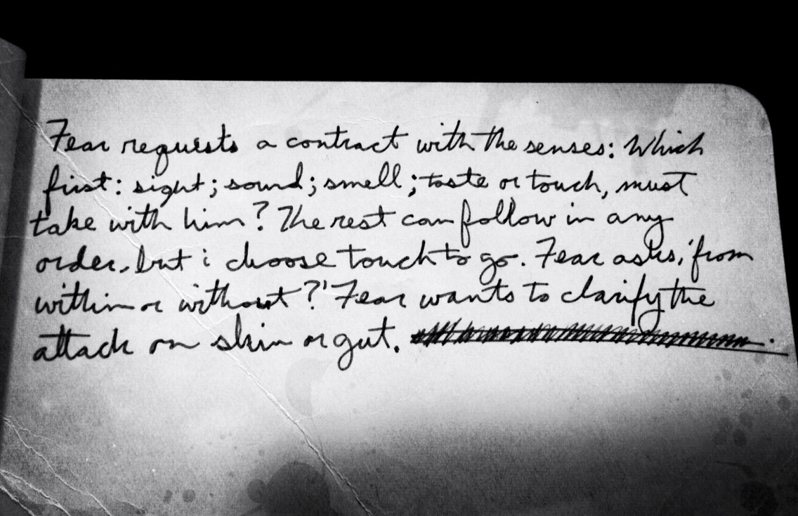 on what fear wants: a proper place to begin.