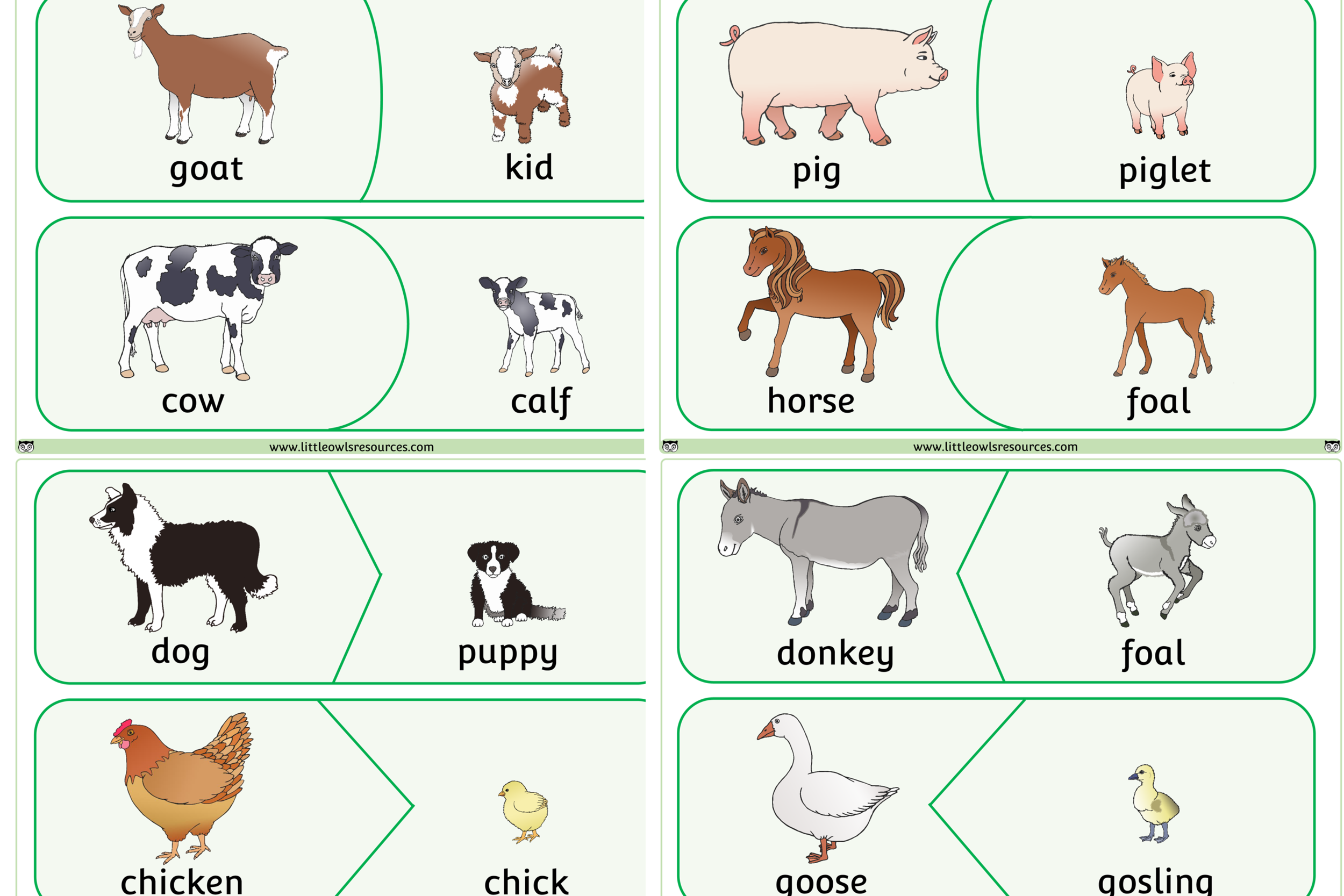 Evs Introduction Of Farm Animals Young Ones And Home ( 15/11/21) - Lessons  - Blendspace