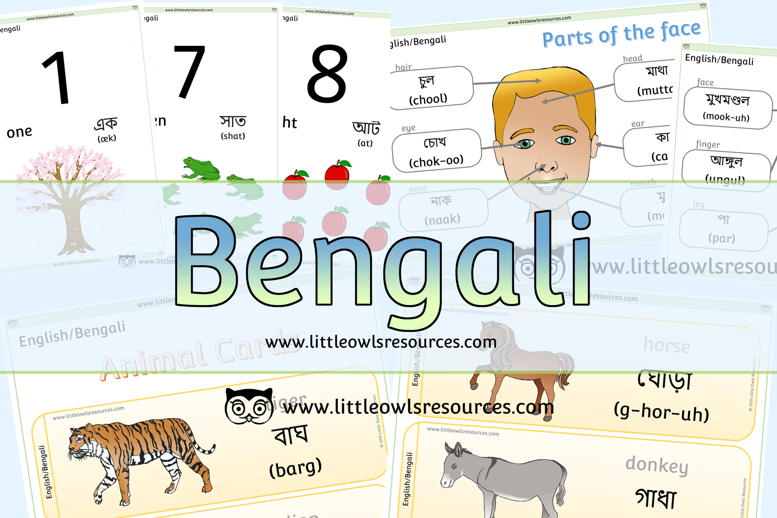 FREE Bengali/English Dual Language printable Early Years/EYFS/Preschool  resources/display/activities — Little Owls Resources - FREE