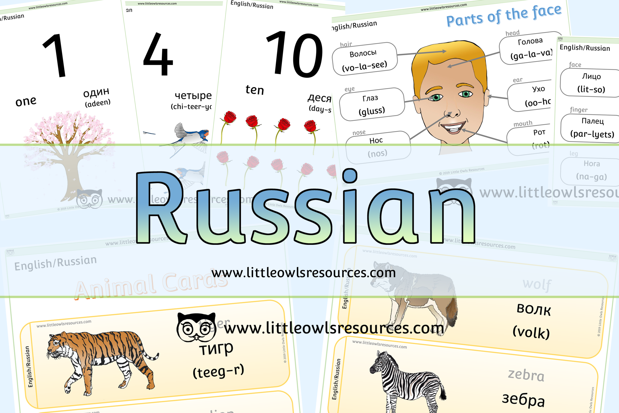 FREE Russian/English Dual Language printable Early Years/EYFS/Preschool  resources/display/activities — Little Owls Resources - FREE